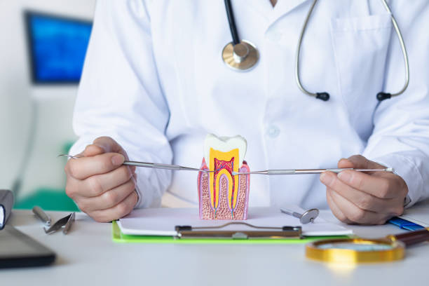 Best Emergency Root Canal Treatment in Sandy, OR